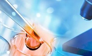 女性有染色体罗氏易位在双辽市做试管养囊成功率高吗？试管移植后需要保胎吗！