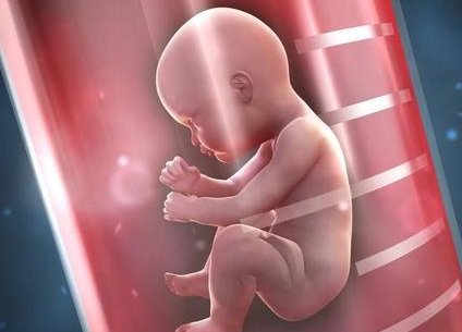 2026上海试管婴儿周期是多久？具体流程有哪些？