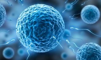 高龄做试管婴儿为啥要打生长激素？