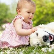 试管冻胚移植一周后肚子痛来月经了是不是生化妊娠？