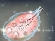 2026年石家庄试管婴儿医院，三代试管婴儿医院推荐