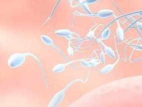 做试管婴儿，胚胎移植后需要注意什么？