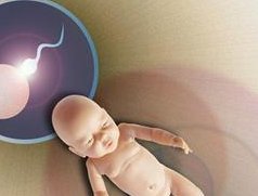 重度宫腔粘连在大冶市做试管婴儿靠谱吗，重度宫腔粘连试管婴儿成功率多少！